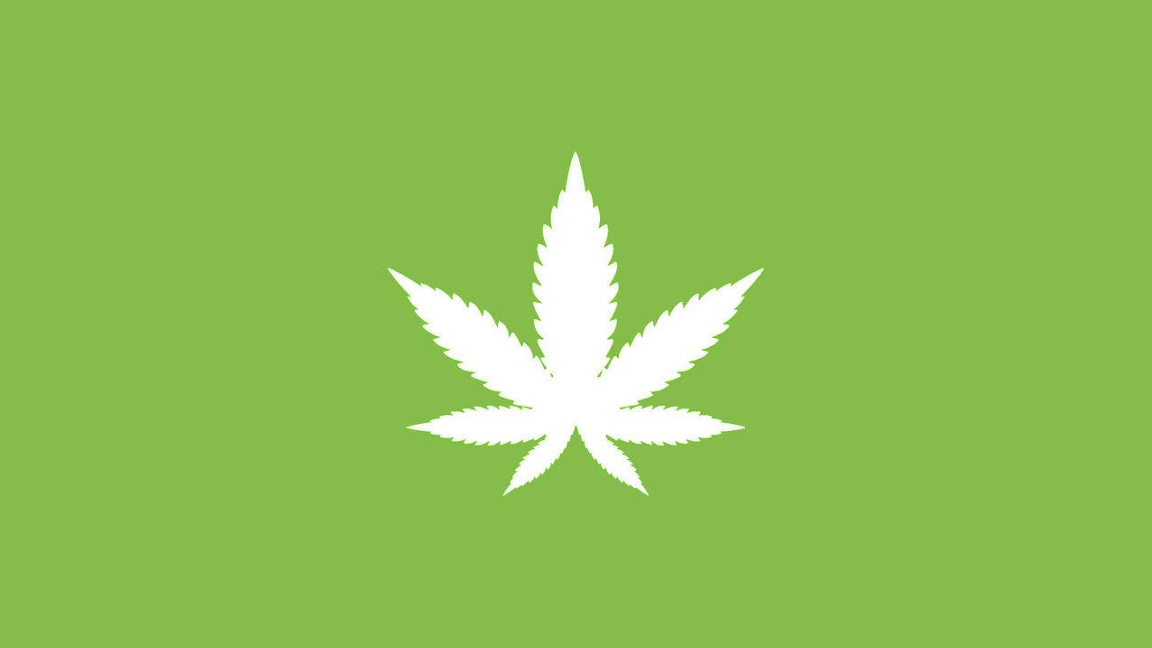 微信视频号点赞-僵尸粉购买-粉丝代刷